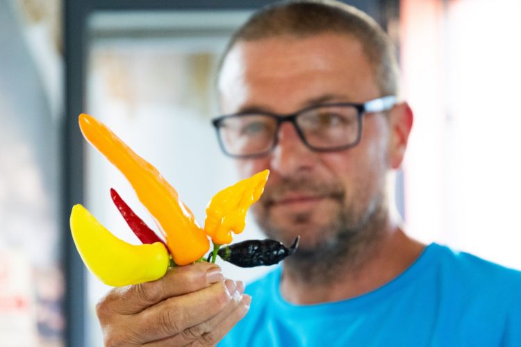 Paolo mentre mostra un mazzo di peperoncini freschi nel negozio MamaGiò di Mosciano Sant'Angelo a Teramo in Abruzzo